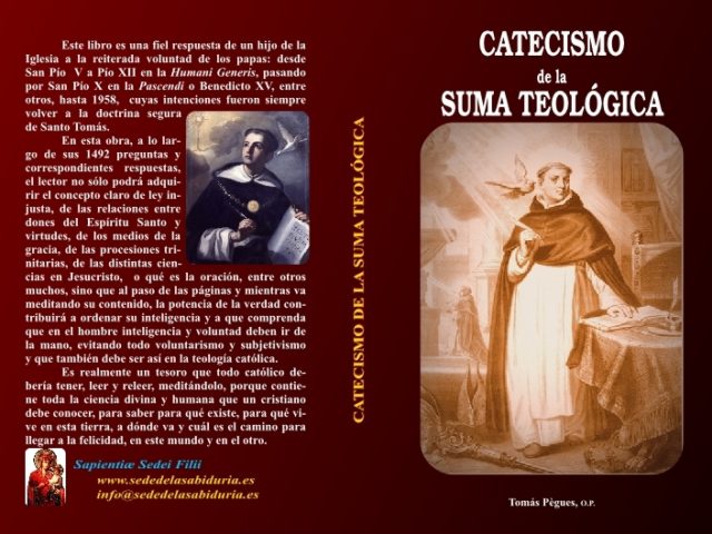 CATECISMO DE LA SUMA TEOLÓGICA CATECISMO DE LA SUMA TEOLÓGICA